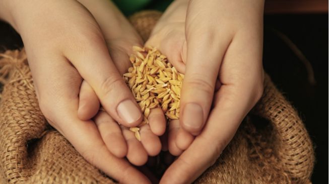 Zakat Fitrah Anak Dibayar Oleh Siapa - dawuh guru co id