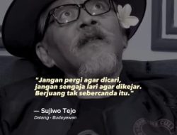 Quote Sujiwo Tejo tentang Ketulusan dalam Perjuangan