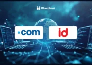 Mana yang Lebih Baik: Domain .com atau .id? Ini Perbedaannya | Sumber gambar Idwebhost.com
