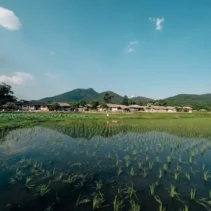 Slow Living di Desa: Katanya Tenang, Nyatanya Dompet Ikut Ikhlas